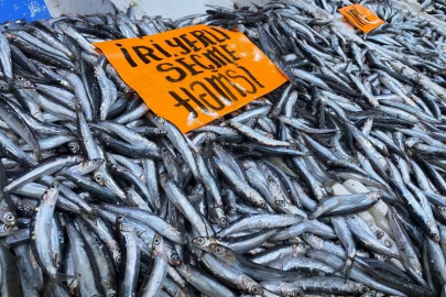 The increase in prices has reduced the interest in fish