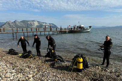 Deniz dibinde ekiliyor: Posidonia çayırları yeniden hayat bulacak