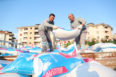 Merkezefendi’de süt ve yem desteği başvuruları başladı