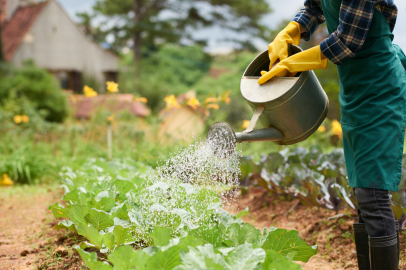 Muğla’da ‘Su Merkezli Tarımsal Üretim Planlama’ toplantısı