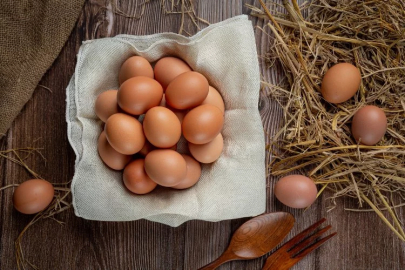 Egg production increased by 3.1 percent