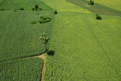 A 'Agricultural production planning' meeting was held in Manisa