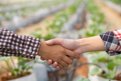 Gördes’te 1004 üreticiye 230 ton gübre desteği