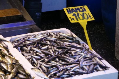 The anchovy season is closing early