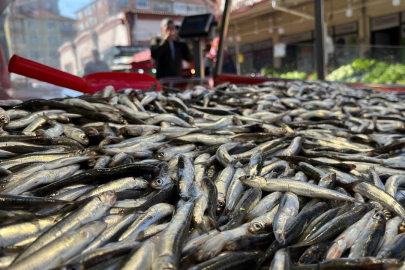 Hamsi tezgahlardaki son günlerini yaşıyor