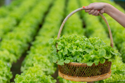 Ağrı’da tarımsal üretim planlaması toplantısı gerçekleştirildi