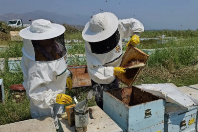 14 million TL support provided to 1,498 beekeepers in Aydın