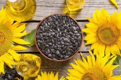 Sunflower and chickpea seeds were distributed to farmers in Amasya