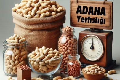 Adana yerfıstığı üretiminde Türkiye birincisi oldu