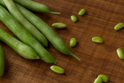 In Yalova, 300 kilograms of bean seeds were distributed to 104 farmers