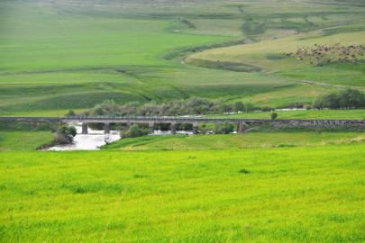 Yem bitkileri destekleme süreci başladı