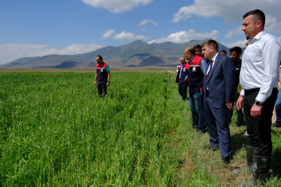 Vali Sarıibrahim, dolu yağan arazilerde incelemelerde bulundu