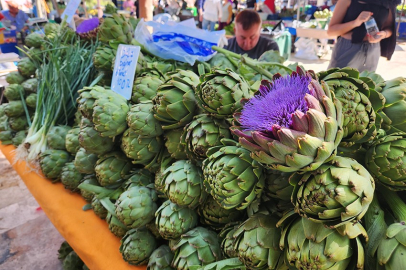 Urla ekonomisine Enginar Festivali dopingi