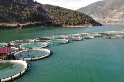 Artvin’de geçtiğimiz yıl 14 bin ton Türk somonu üretildi