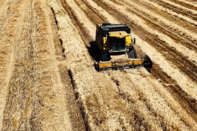 In Mardin, the harvest during the holiday was filmed with a drone