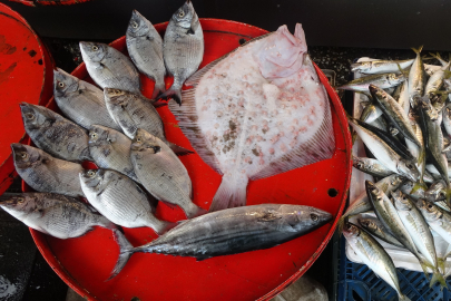 The meat for Eid al-Adha and temperatures reduced demand for fish