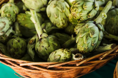 They are selling out their artichokes produced in Sarıcakaya