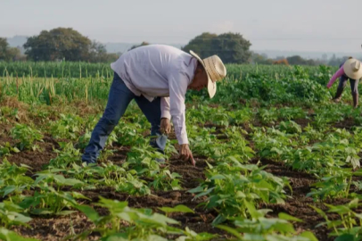 The insurance premium for state-supported agricultural insurances has increased by 5.5%