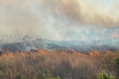 The fire that started in an agricultural field in Çanakkale spread to a forested area