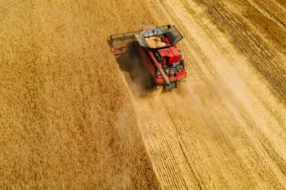 Wheat Harvest at Ziraat Vocational and Technical Anatolian High School