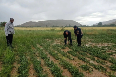 Bayburt’ta dolu ekili alanlara zarar verdi