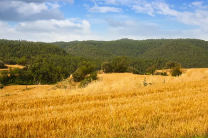 ETi Burçak and WWF-Turkey Launch New Initiative