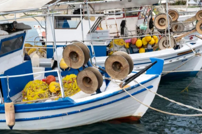 The appearance of mackerel before the fishing season has encouraged fishermen