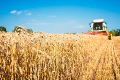 Wheat harvest has begun in Bitlis