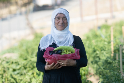 Mahalle bostanında hasat zamanı