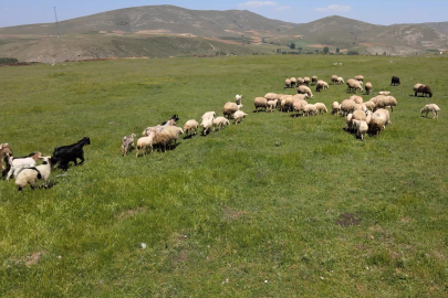 Uzman Eller Projesi ile genç yaşta kendi işini kurdu