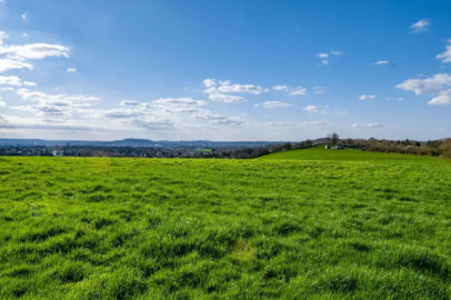 In Kastamonu, pastures will be converted into economic value