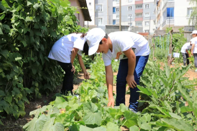 The 'School Farm' Project in Bitlis