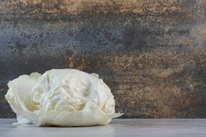 The early cabbage harvest has begun in Niğde