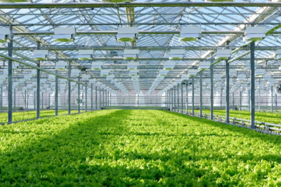 Support for farmers who want to engage in greenhouse farming in Beyşehir