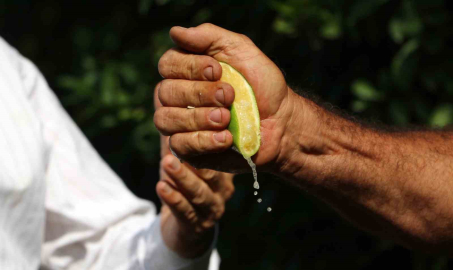 İstanbul’da geçen ay en çok pahalanan ürün limon oldu