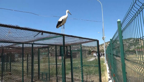 Bu da Kütahya’nın ’Yaren’i