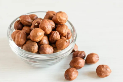 In Ordu, hazelnut harvesting has begun