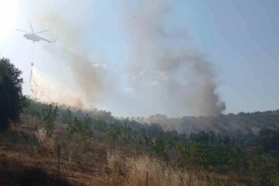 Manisa’da 50 hektar alan kül oldu