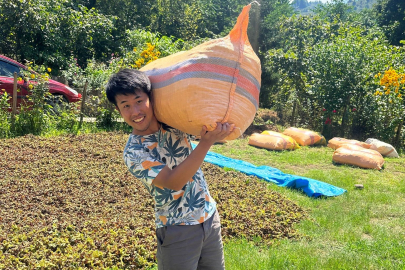 Japonya’dan ticaretini yaptığı fındığı tanımak için Giresun’a geldi