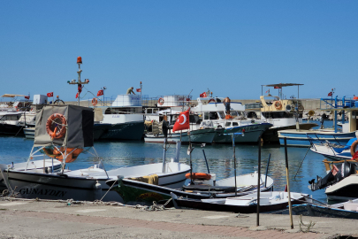 Balıkçılar yeni sezonda palamuttan umutlu