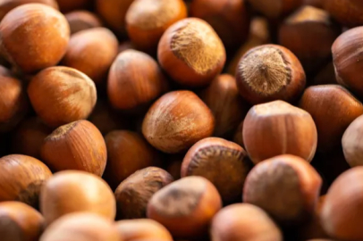 Demands of the hazelnut sector