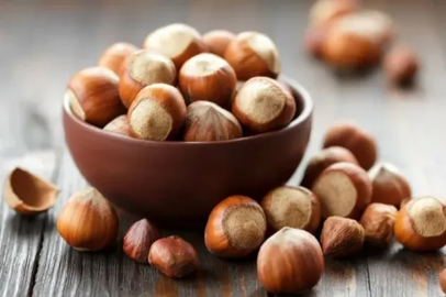 In hazelnuts, harvesting costs are being reduced with nets