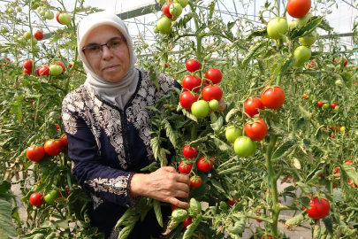 Koparmaya dahi kıyamıyorlardı, hobileri tutkuya dönüştü