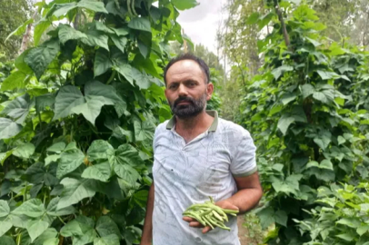 Bean production with heirloom seeds in Yozgat