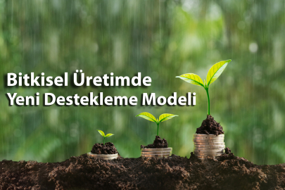 Denizli’de tarımsal destekleme modelinde yeni dönem başlıyor