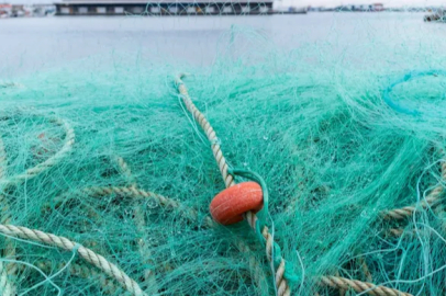 The fishing ban has been lifted: The first auction was held in Bandırma