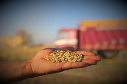 "380 thousand tons of contribution from the Konya Plain to certified seed production