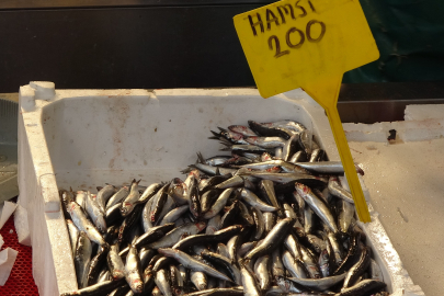 Hamsi palamutu kıskandı, tezgahlarda yerini aldı