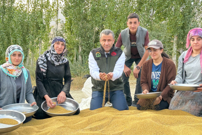 Kadın çiftçilerden eski usul yonca tohumu eleme ve ayıklama