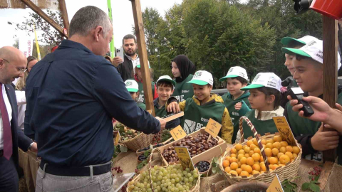 Ormanya’da üretilen kızıl geyikler doğaya salındı